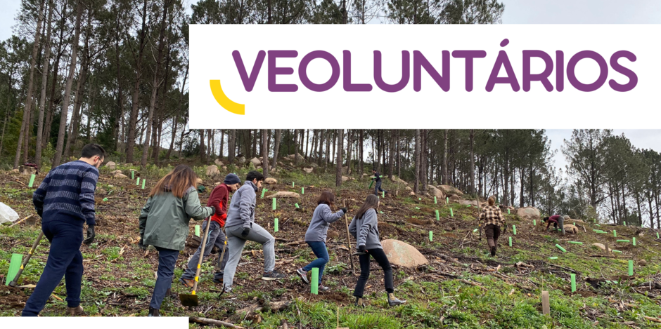 Programa Voluntariado Corporativo Veolia Portugal